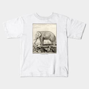 18th C. Male Elephant Kids T-Shirt